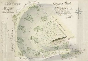 Nieder-Eggener Gemeind-Wald, in den Rüttenen genannt, Canderer Forsts Nieder-Eggener Banns