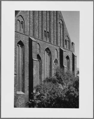 St. Katharinen, Stralsund
