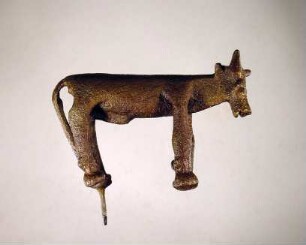 Rind (Stier)