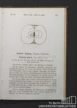 Nr. 93. Oelkofer Pepping, Pepping d'Oelkofen.