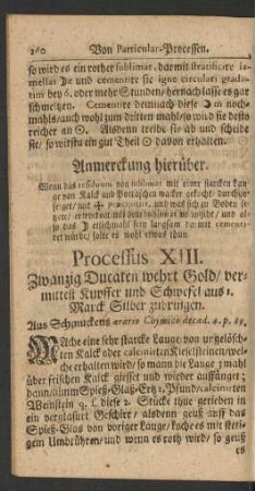 Processus XIII.