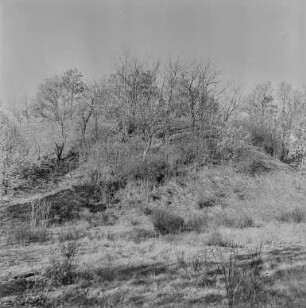 Schanze Kuckau : Kuckauer Schanze