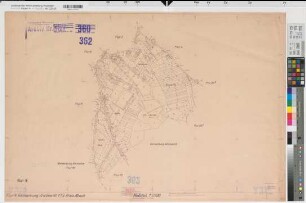 Ammeloe (Vreden), Flurbereinigung Ammeloe, Bl.18 Katasterkarte Vreden Flur 4