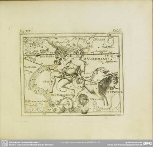 Fig. XIX