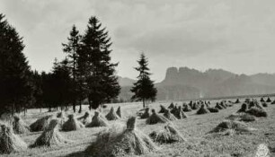 Sächsische Schweiz, Reinhardtsdorfer Ebenheit, Blick über ein Feld mit Kornpuppen am Waldrand