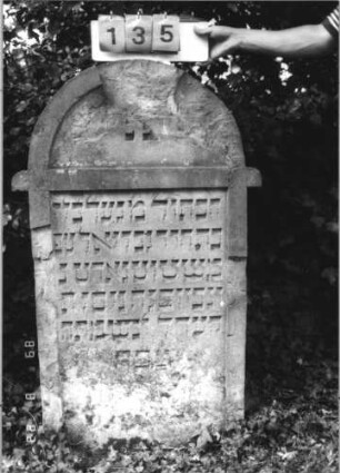 Grabstein 135 (Index: 100110703) Material: Sandstein Zustand: Abschieferungen im Giebel Maße HxBxT: 127x78x13 cm Beschreibung: Stele, Rundbogenabschluß mit Ohren, Schriftfelder eingetieft: Grabstein 135