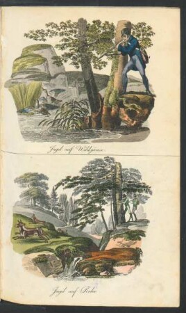 Tafel: Jagd auf Wildgänse. Jagd auf Rehe.