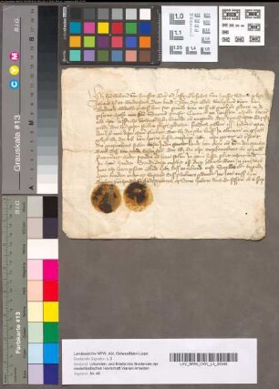 Verklaring van Heer Walraven van Haeften, Ridder, en Elisabeth van Haeften, weduwe van Johan, Heer te Wardenborg, dat zij van de Vrouw van Brederode, weduwe, een brief over de 4000 Rijnsche gulden, die Heer Gozen Stecken schuldig gebleven was, ten gebruike ontvangen hadden, 3 November 1475. Met stukken van 2 opgedrukte zegels.