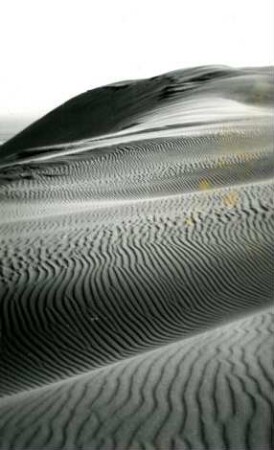 Sanddünen, Kurische Nehrung