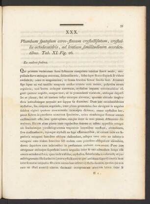 XXX. Plumbum spatosum cereo-flavum crystallisatum, crystallis octodecaedris, ... Tab. XI. Fig. 26