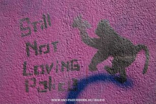 STILL NOT LOVING POLICE