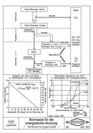 Biomasse für die energetische Nutzung, Verbrennungsprozess