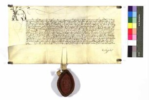 Bischof Hermann von Konstanz wiederholt die Erlaubnis, die Bischof Burckhard am 20. August 1463, der Stadt Ulm erteilt hatte.