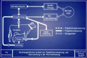 Rechnergestütztes System zur Produktionssteuerung und - überwachung in der Milchviehhaltung