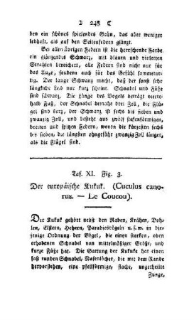¬Der¬ europäische Kukuk : (Cuculus canorus - Le Coucou) ; Taf. XI, Fig. 3