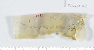 CIL XV 4437 δ, Gelatinefolie
