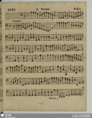XXXI. Canzon