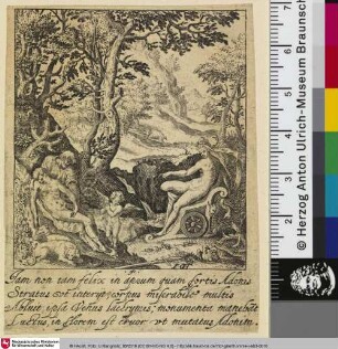 [Vénus, sur son char, pleure Adonis mort.]