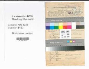 Entnazifizierung Johann Brinkmann , geb. 10.03.1902 (Polizeimeister)