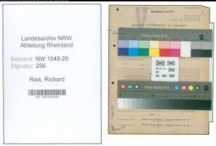 Entnazifizierung Richard Ries , geb. 22.09.1901 (Beamter)