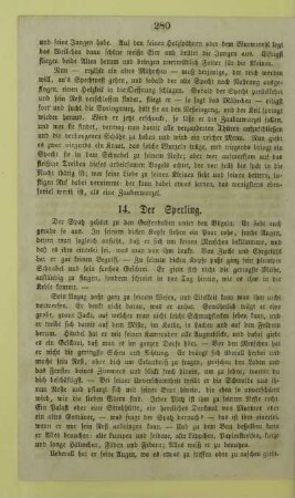 14. Der Sperling