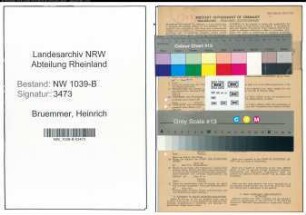 Entnazifizierung Heinrich Bruemmer , geb. 11.01.1890 (Landwirt)