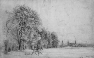 Dresden: Ostragehege mit Blick auf die Stadt