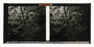 Kunst-Graben an der Urff, südliches Waldeck