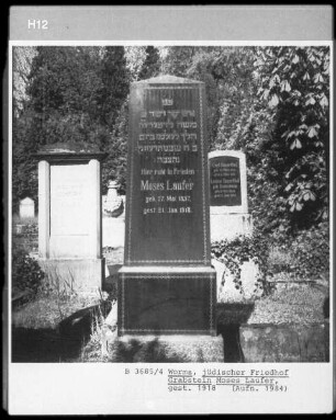 Grabstein von Moses Laufer (1918.01.21)