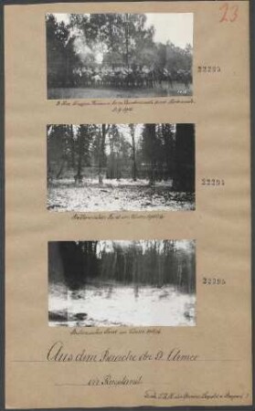 Bielowiesher Forst im Winter 1915/16