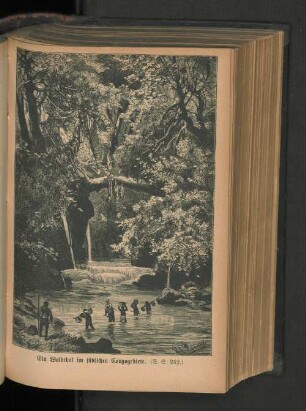 Ein Waldthal im südlichen Congogebiete
