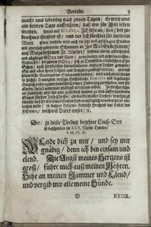[Christ-Adelicher Leich-Sermon.]