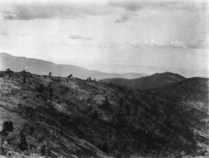 Berghang : Blick auf einen Berghang