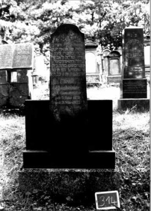 Grabstein 314 [Nir S. 205 Nr. 18.18]