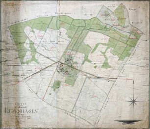 Charte über das Kirchdorf Levenhagen ; belegen im Amte Eldena
