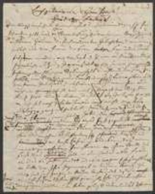 Brief von Regensburgische Botanische Gesellschaft an Sophie von Bray, geschrieben von Christian Heinrich Oppermann