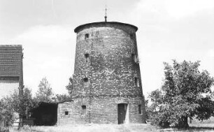 Großtreben-Zwethau-Großtreben. Turmholländer