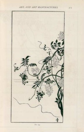 Fig. 144.