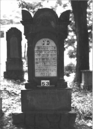 Grabstein 53 (Index: 99898788) Material: Sandstein Zustand: teilweise verwittert, Säule vmtl. nachträglich wieder auf Postament gestellt: Schriftfelder zeigen in unterschiedliche Richtungen Maße HxBxT: 172x44x40 cm Beschreibung: abgebrochene Säule auf gestuftem Postament Symbolik: abgebrochene Säule: Grabstein 53