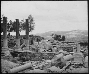 Basilika, sebastie