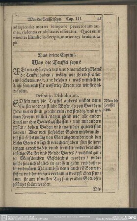 Das dritte Capitul. Was dei Teuffel seyn?