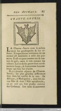 Chauve-Souris