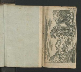 Tab. XIV.