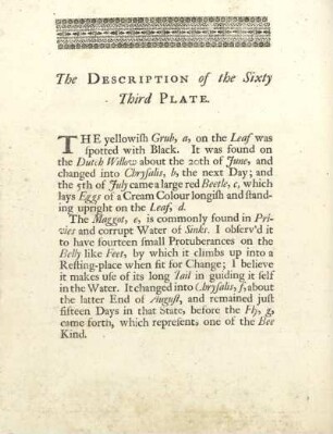 The Description of the Sixty Third Plate