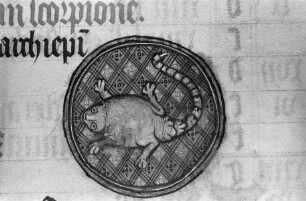 Missale des Simon Renoul — Ausschnitt: Tierkreiszeichen Skorpion, Folio 5 verso