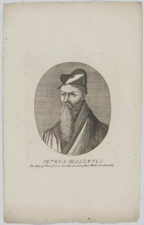 Bildnis des Petrus Bellonius