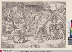 [Der Zug des Silens]
