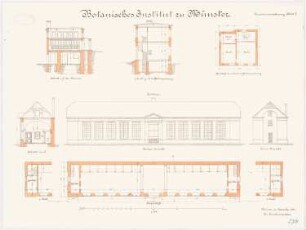 Universität Münster Botanisches Institut: Kalthaus: Grundriss Erdgeschoss, Obergeschoss, Aufriss Vorderansicht, Seitenansicht, Querschnitt 1:100. Gärtnerwohnung: Grundriss Obergeschoss, Querschnitt 1:100. Hörsaal im Querschnitt 1:100