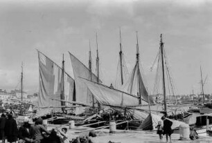 Im Hafen : Segelboote im Hafen von Split.