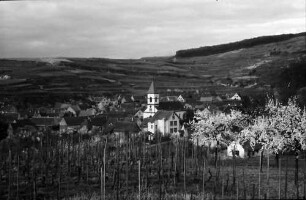 Achkarren: Kirchturm zwischen Blüten